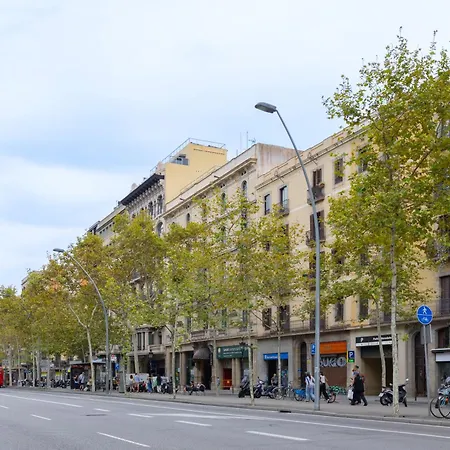 Paseo De Gracia Lejlighed *